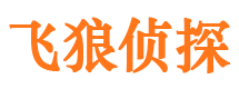 上犹市调查公司